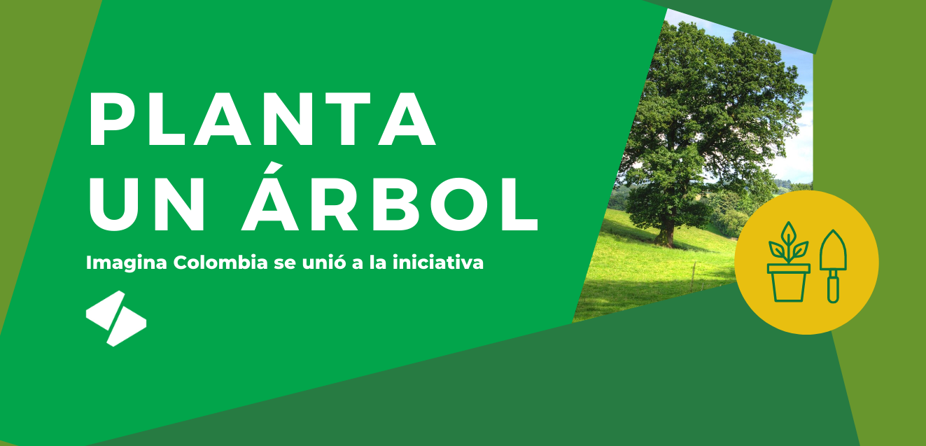 Planta un árbol