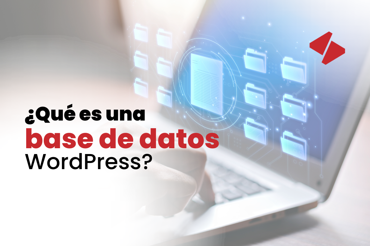 ¿Qué es una base de datos WordPress? ¡Todo lo que debes saber!