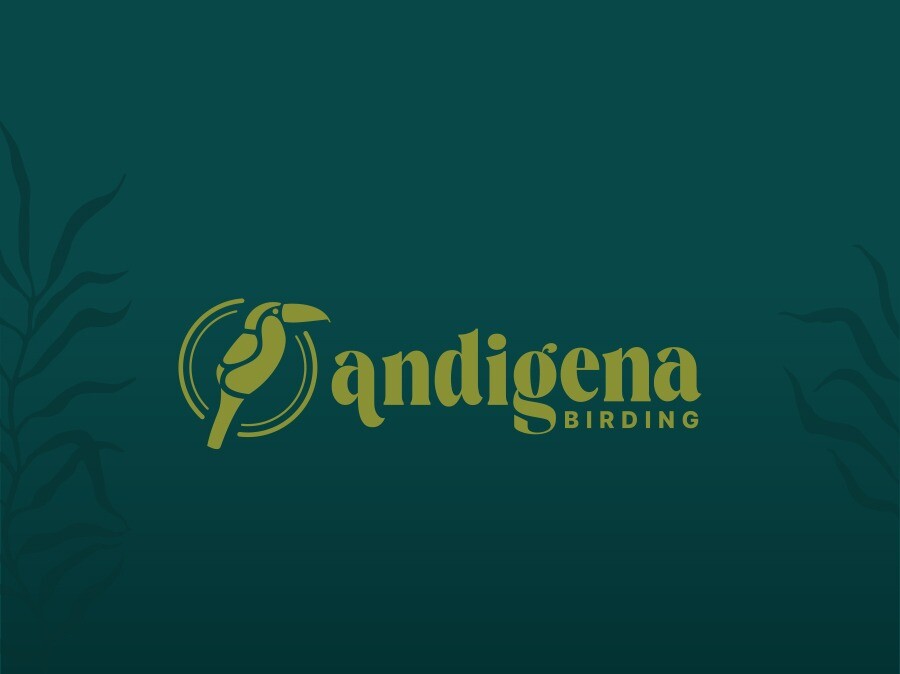Andigena Birding